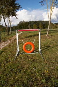 Le Pneu - module Agility - Charny Educ (Yonne)