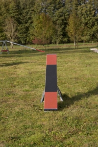 La Balançoire - module Agility - Charny Educ (Yonne)