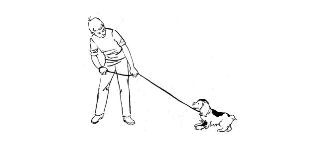 Evaluation de votre chien ou de votre chiot
