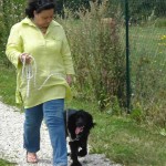 education-canine-charny_education-cocker04