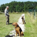 education-canine-charny_berger-allemand-pako-2