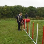 education-canine-charny_agility-05