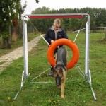 education-canine-charny_agility-09