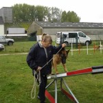 education-canine-charny_agility-11