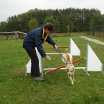 education-canine-charny_agility-12