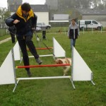 education-canine-charny_agility-19