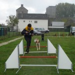 education-canine-charny_agility-20