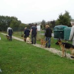 education-canine-charny_golden-retriever-happy-01