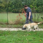 education-canine-charny_golden-retriever-happy-06