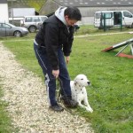 education-canine-charny_hermes-dalmatien-05
