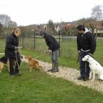 education-canine-charny_hermes-dalmatien-08