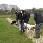 education-canine-charny_hermes-dalmatien-10