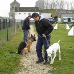 education-canine-charny_hermes-dalmatien-11