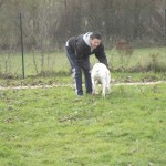 education-canine-charny_hermes-dalmatien-14