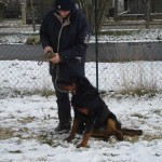 charny-education_beauceron-harmonie_03