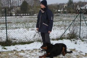 charny-education_beauceron-harmonie_05