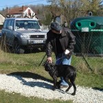 charny-education_education-cane-corso-01