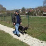 charny-education_education-cane-corso-02