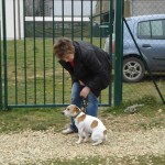 charny-education_education-jack-russell-12