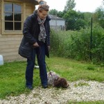 charny-education_education-lagotto-romagnolo-01