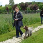 charny-education_education-lagotto-romagnolo-03