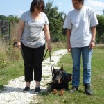 charny-education_dobermann-01