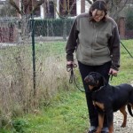 charnyeduc-rottweiler-15