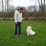 charny_educ-Samoyede-22