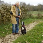 cours collectifs pour un whippet