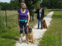 education-canine-charny_berger-allemand_05