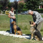 education-canine-charny_berger-allemand-pako-6