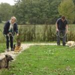 education-canine-charny_cours-collectifs-02