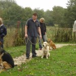 education-canine-charny_cours-collectifs-03