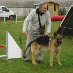 education-canine-charny_cours-collectifs-07