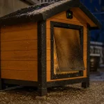Chauffage pour niche chien : thermostat et isolation sur terrasse