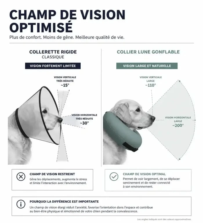 Comparaison visuelle entre une collerette rigide et un collier lune chien pour le bien-être animal