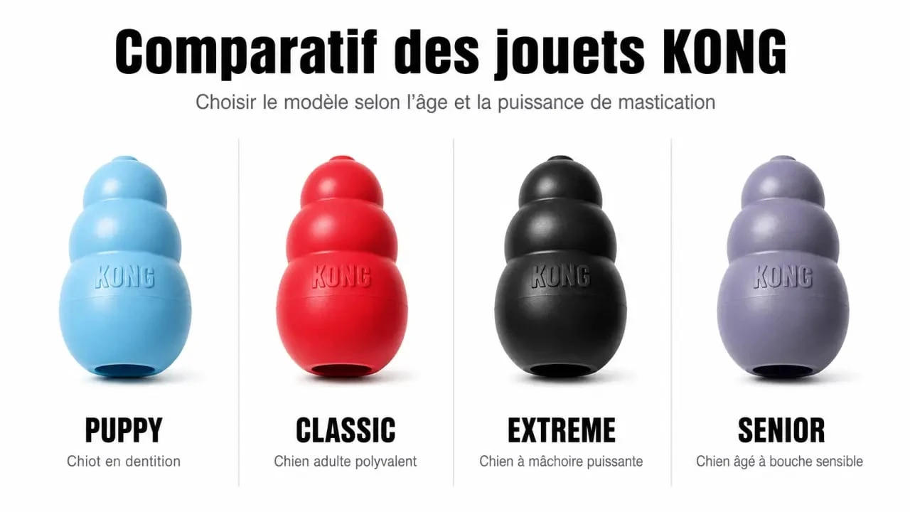 Comparatif du jouet pour chien kong avec les modèles Puppy, Classic, Extreme et Senior