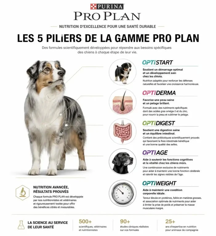 Infographie des bénéfices santé des croquettes Pro Plan pour chien selon les besoins spécifiques