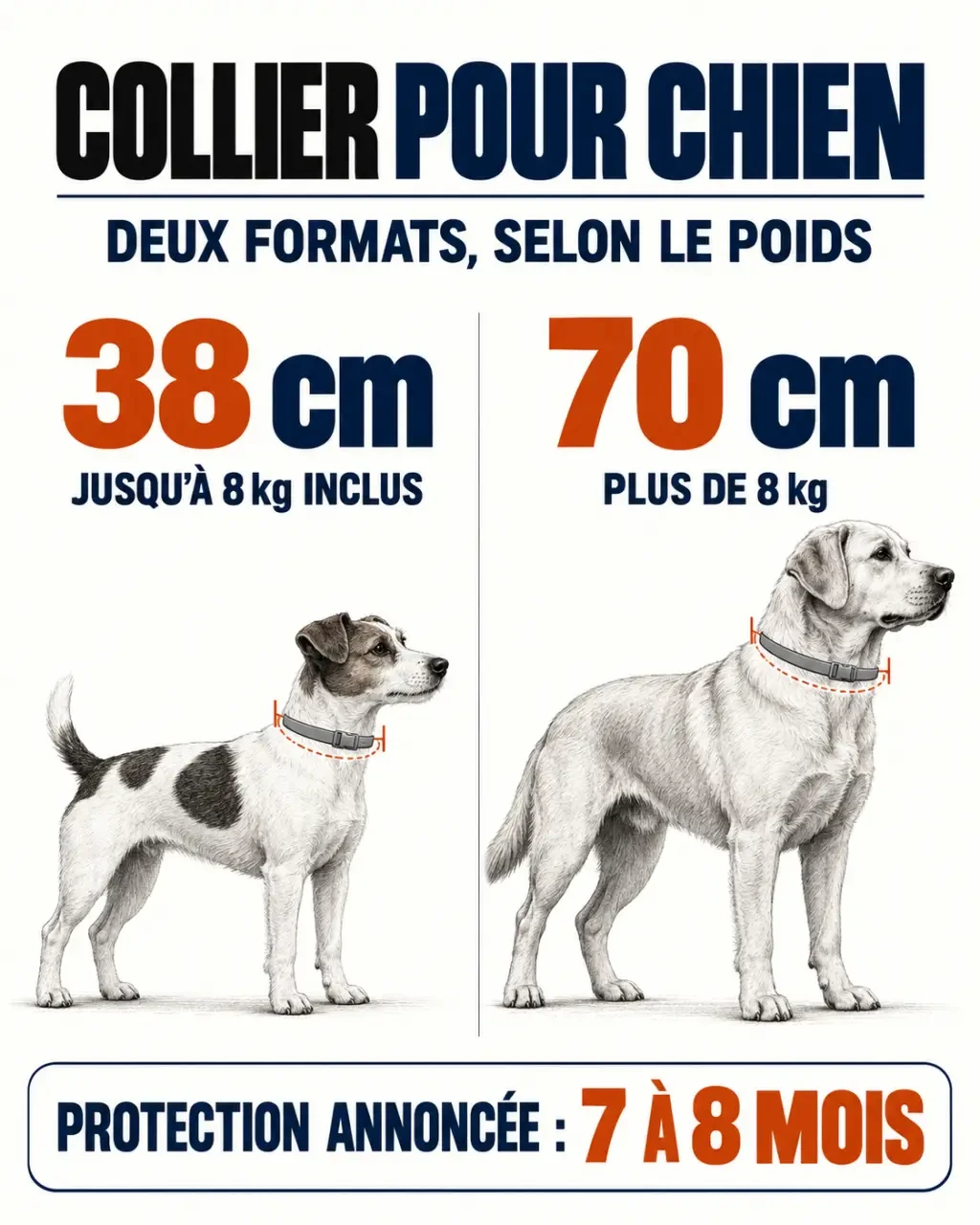 Infographie du collier Seresto chien selon le poids et le format