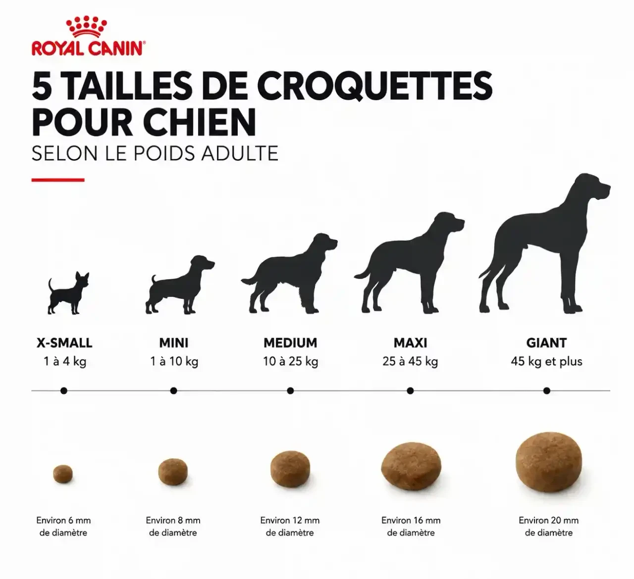 Tailles de chien et poids adulte pour choisir des croquettes pour chien Royal Canin : X-Small, Mini, Medium, Maxi, Giant